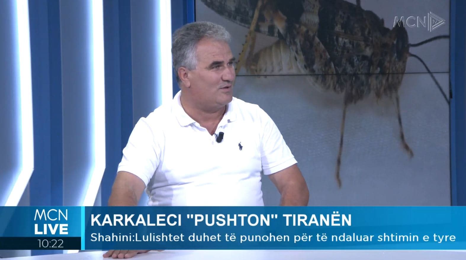 Përhapja masive e karkalecave, Shahini: Nuk rekomandohet ndërhyrje kimike (VIDEO)