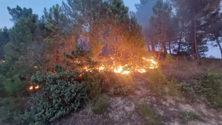 Një person në Durrës i vë zjarrin shkurreve, digjet vetë/ Rrezikohen banesat e tjera
