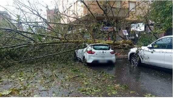Moti i keq në Itali, pemë të rrëzuara dhe rrugë të mbyllura në Milano