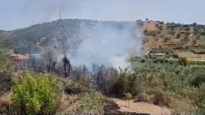 Fier/ Zjarr në fshatin Shtyllas, digjen sipërfaqe të konsiderueshme me ullinj, rrezikohen banesat 