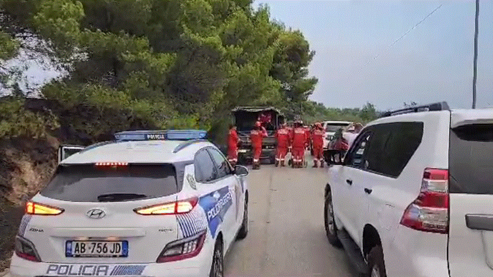 Zjarret në vend, Çako: Situata është një emergjencë kombëtare