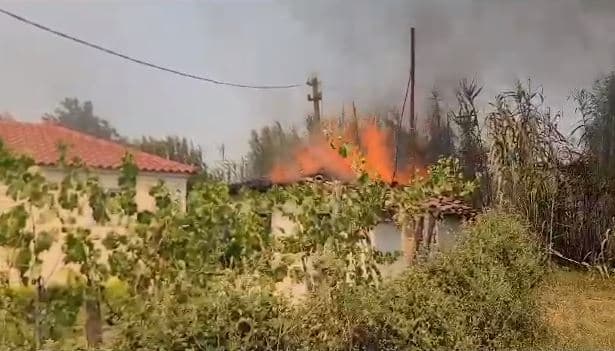 Riaktivizohet zjarri në pyllin me pisha në Kraps të Fierit, flakët kanë përfshirë dhe disa banesa