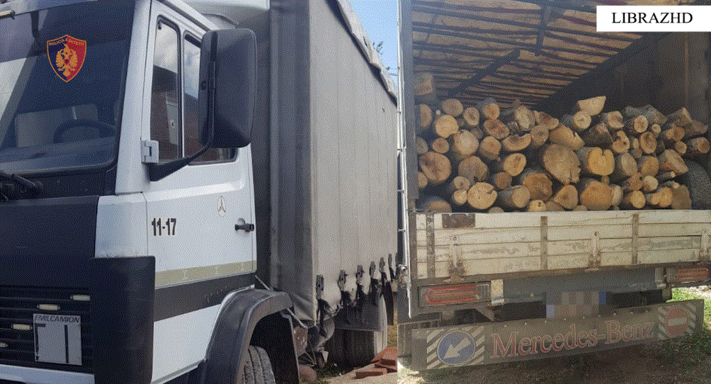 Transportonte dru të prera me kamion, arrestohet 33-vjeçari në Librazhd 