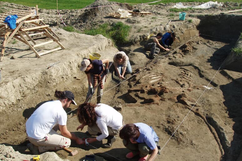 Zbulohet Perucetus, kafsha më e rëndë e të gjitha kohërave