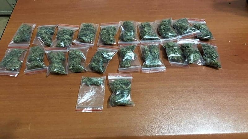 “Ndërthurja” identifikon dy të dyshuar për shpërndarje kanabisi, një në pranga, tjetri në kërkim