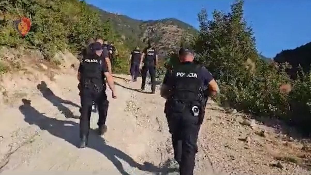 Kultivuan kanabis në repart, arrestohen 3 ushtarakë në Zall Herr, Meçollari: Një prej tyre ishte shkarkuar nga puna