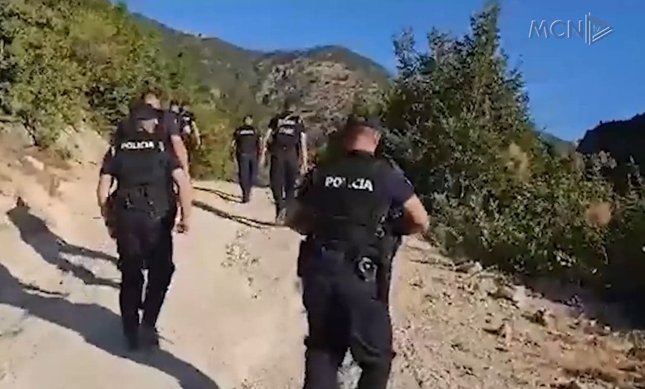 Parcela me kanabis në Zall Herr/ Berisha: Akt kriminal i shëmtuar, Peleshi të largohet