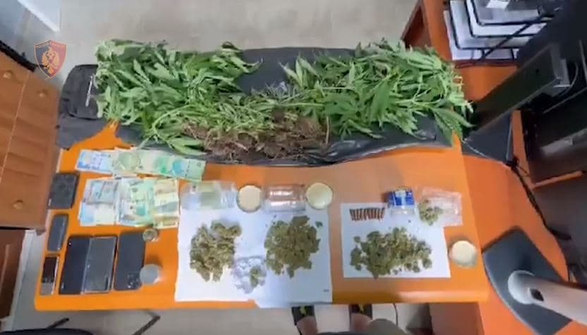 Mbollën kanabis pranë lokaleve dhe zaptuan plazhet në Himarë, dy pronarë në pranga