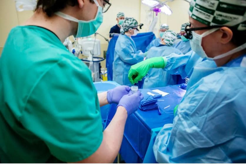Transplant veshke nga derri, organi funksionon normalisht në trupin e pacientit të vdekur