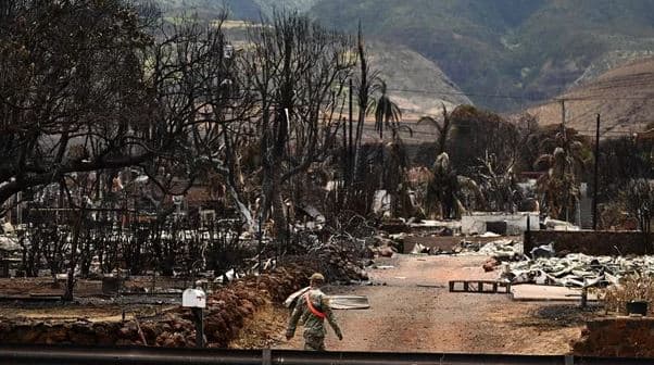 Zjarret në Hawaii, dorëhiqet kreu i menaxhimit të krizave të Maui-t