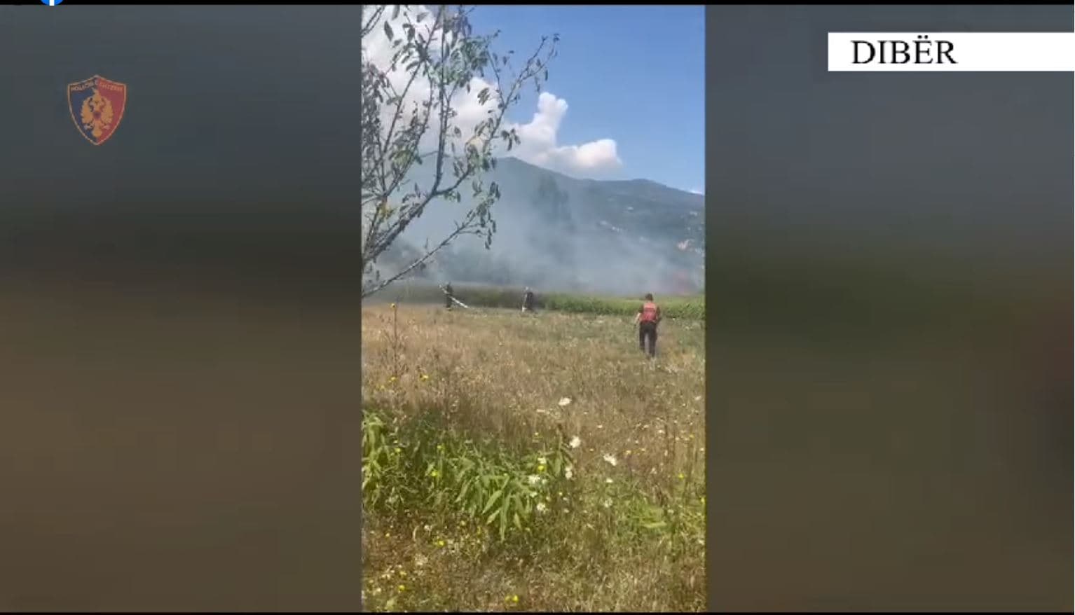   Ndezi zjarr në tokën e tij, dogji një sipërfaqe të madhe toke/ Arrestohet 68-vjeçari në Dibër