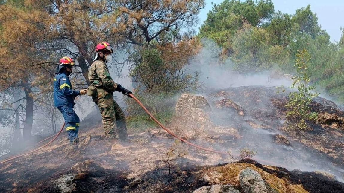 Zjarret në Greqi, gjenden të djegur 18 trupa në pyllin e Dadias