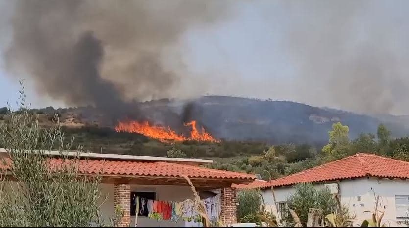  Zjarr masiv në ullishtet në Jarua të Fierit