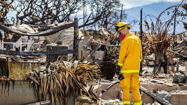 Zjarret në Hawai, 388 persona rezultojnë ende të zhdukur