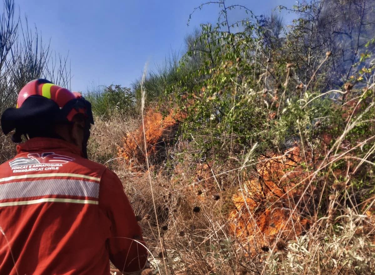 Shuhen 10 vatra zjarri përgjatë 24 orëve të fundit në vend, marrin pjesë 100 efektivë të FA dhe një helikopter