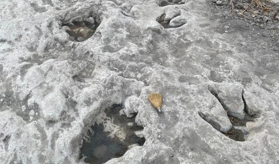 Nivelet e ulëta të ujit zbulojnë gjurmët e dinosaurëve që datojnë 110 mln vjet më parë