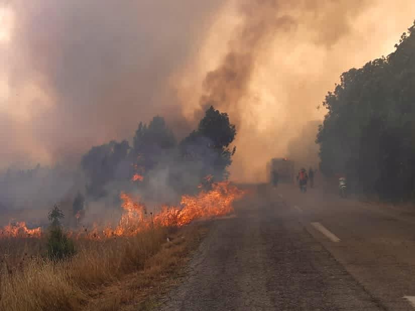 Zjarri në Zhamë të Lushnjës/ Forcat e Armatosura ndërhyjnë bashkë me zjarrfikësit