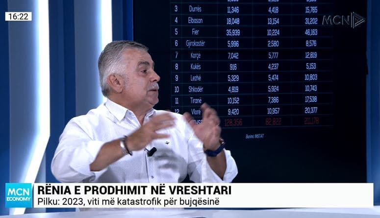 Pilku: 50 mln euro dëm në vreshtarinë shqiptare, 2023 viti më katastrofik