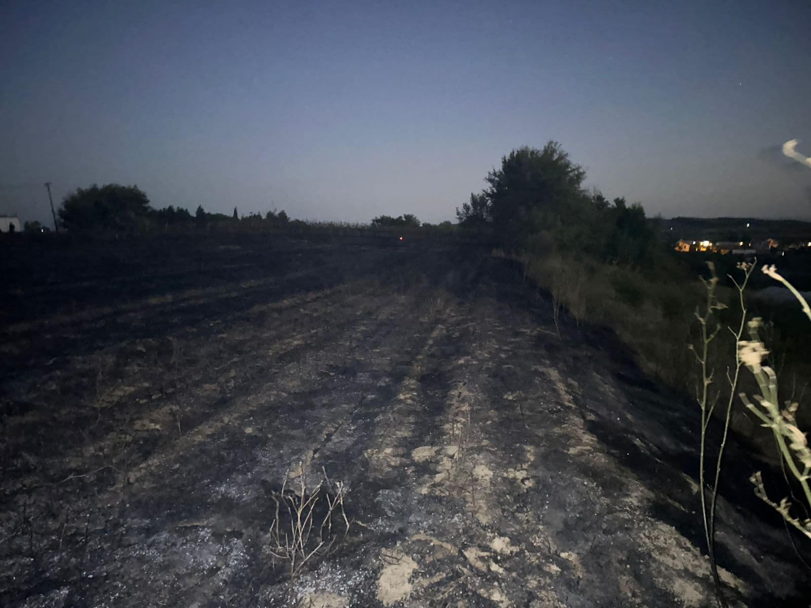 Shkaktuan dëme nga ndezja e zjarreve/ Procedohen në gjendje të lirë dy shtetas në Fier