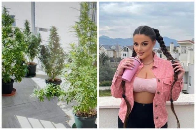 Iu gjetën 5 vazo me kanabis në banesë, lirohet Enca Haxhia: E mbolla për kuriozitet