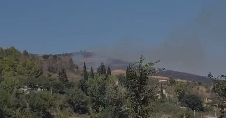 Fier/ Përfshihen nga zjarri kodrat e Vajkanit 