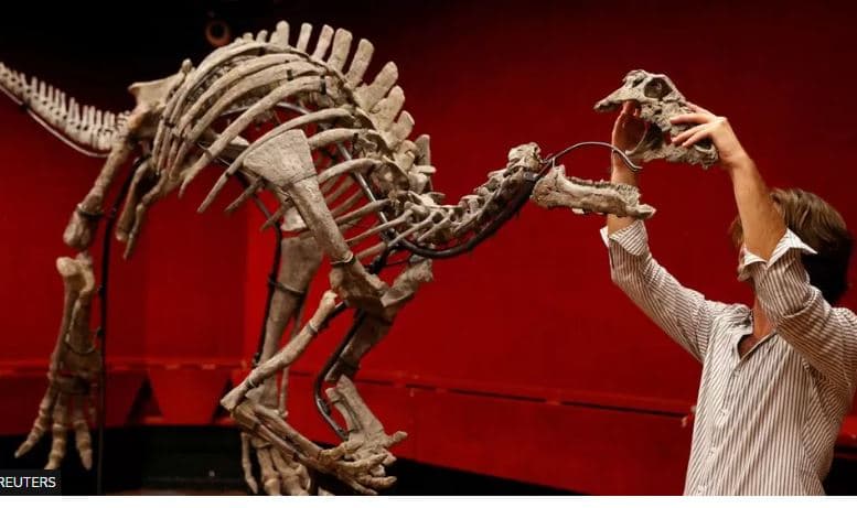  Del në shitje në ankandin në Paris dinozauri i rrallë 'Barry'