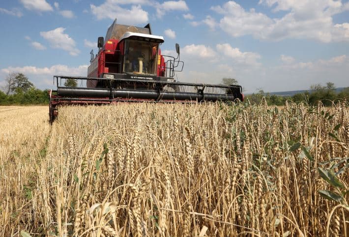 Ukraina planifikon të padisë 3 vende për ndalimin e produkteve të saj bujqësore