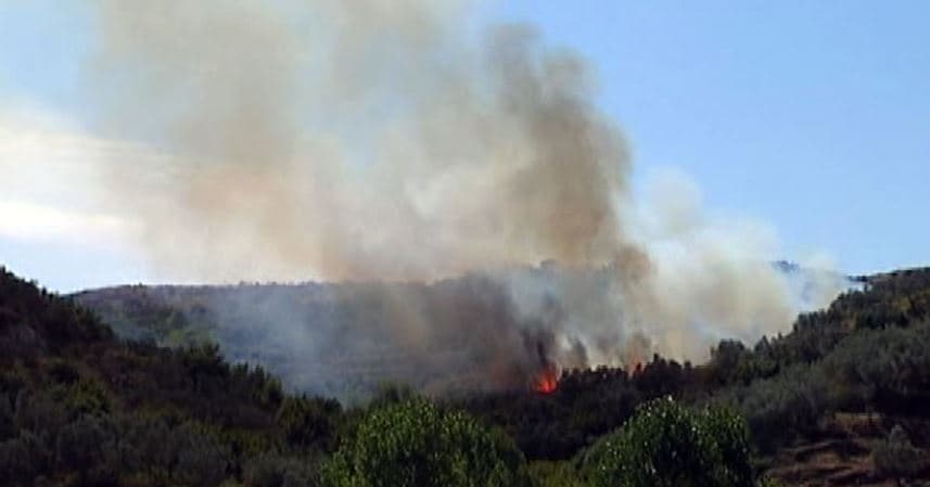 Aktivizohen 3 vatra zjarri në Fier