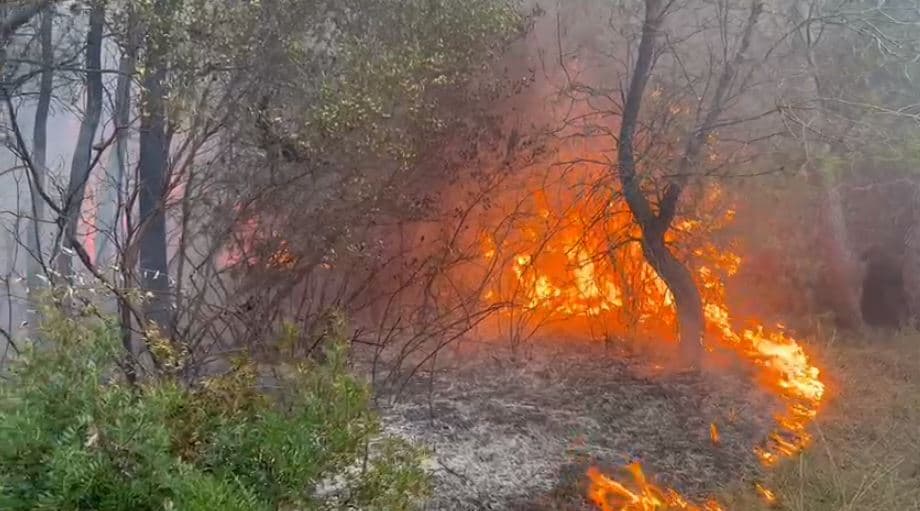 Zjarr me përmasa të mëdha në Pish Poro, në terren 8 zjarrfikëse/ Pritet ndërhyrja nga ajri