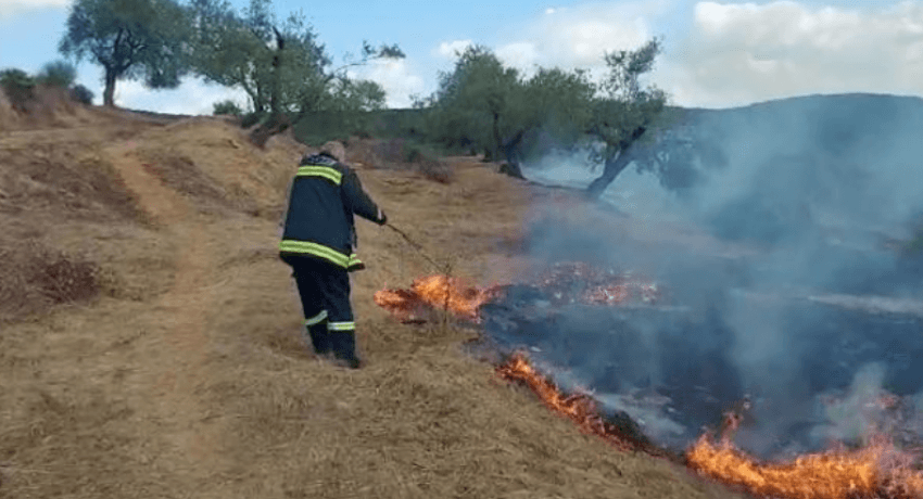 Përfshihet nga zjarri pylli i Darzezës