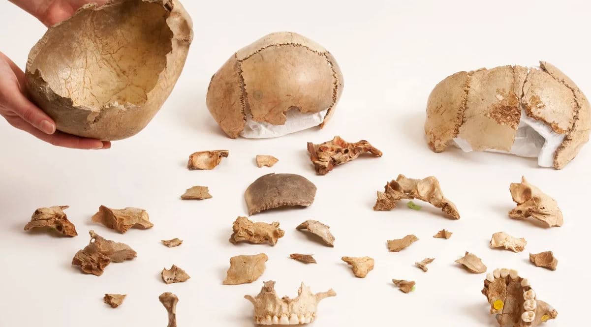 Kanibalizmi ishte një ritual i zakonshëm varrimi në Evropë 15,000 vjet më parë
