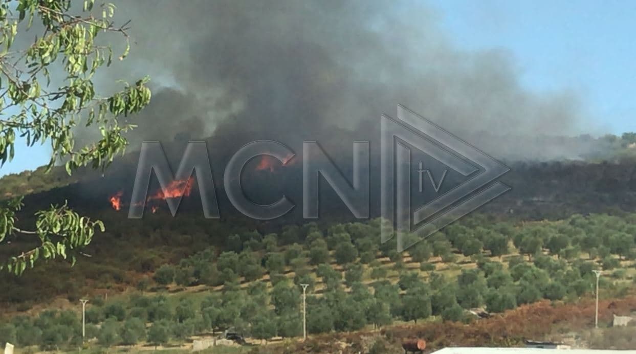 Zjarr në kodrat me ullinj në fshatin Risli në Vlorë