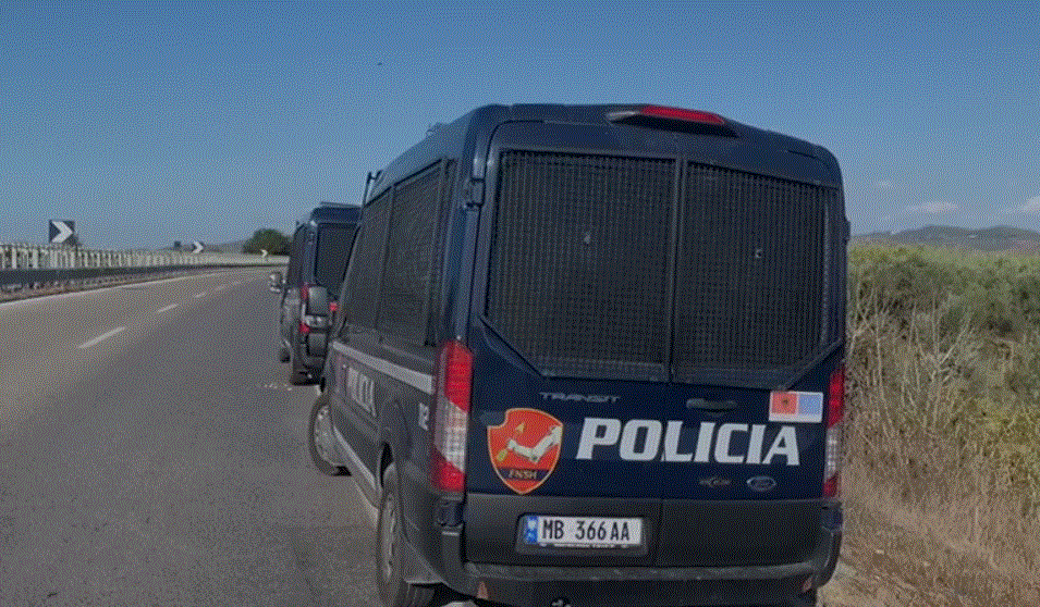 Asgjësohen 4900 bimë kanabis në Vlorë, një sasi e madhe gjendet në proces tharje