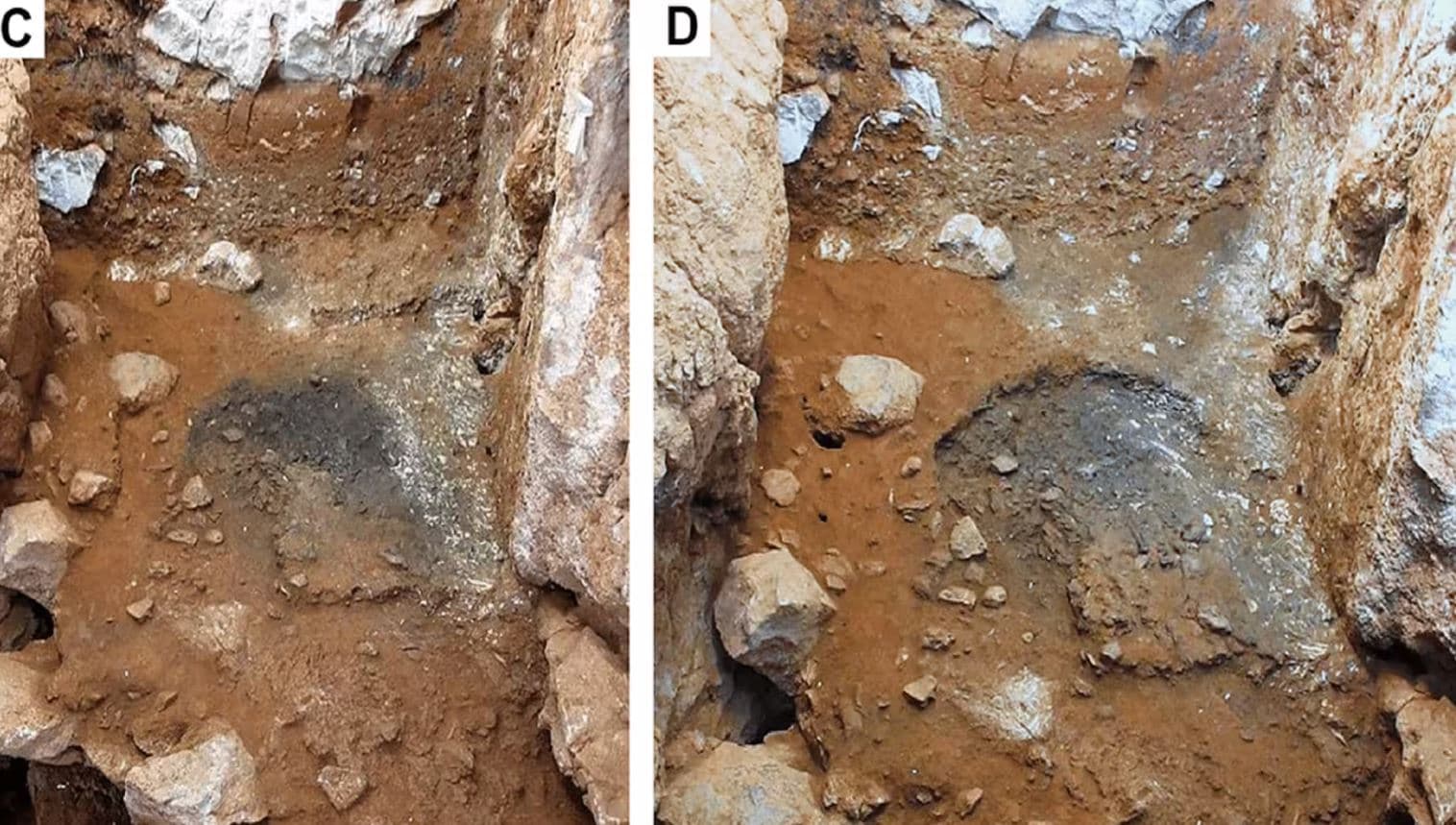 Neandertalët përdornin zjarrin për të gatuar dhitë dhe breshkat