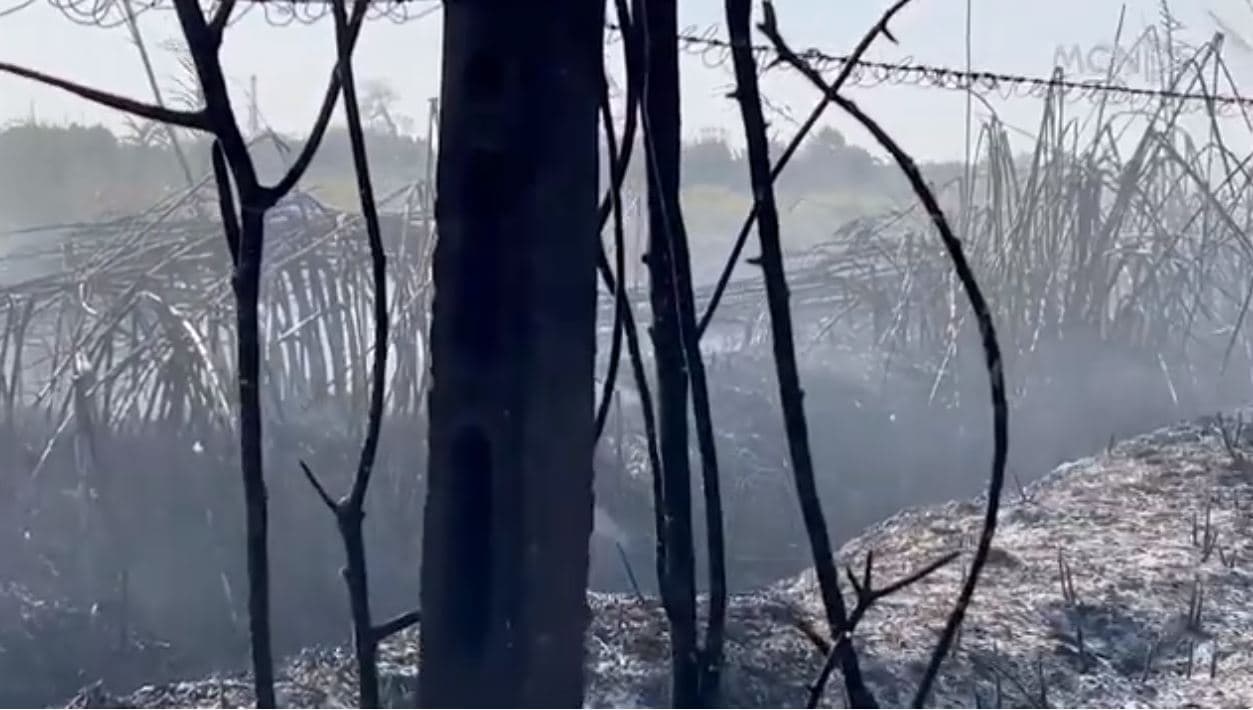 Tri vatra zjarri në Marinzë. Banorët dyshojnë se janë të qëllimshme, kërkojnë ashpërsim të ligjit