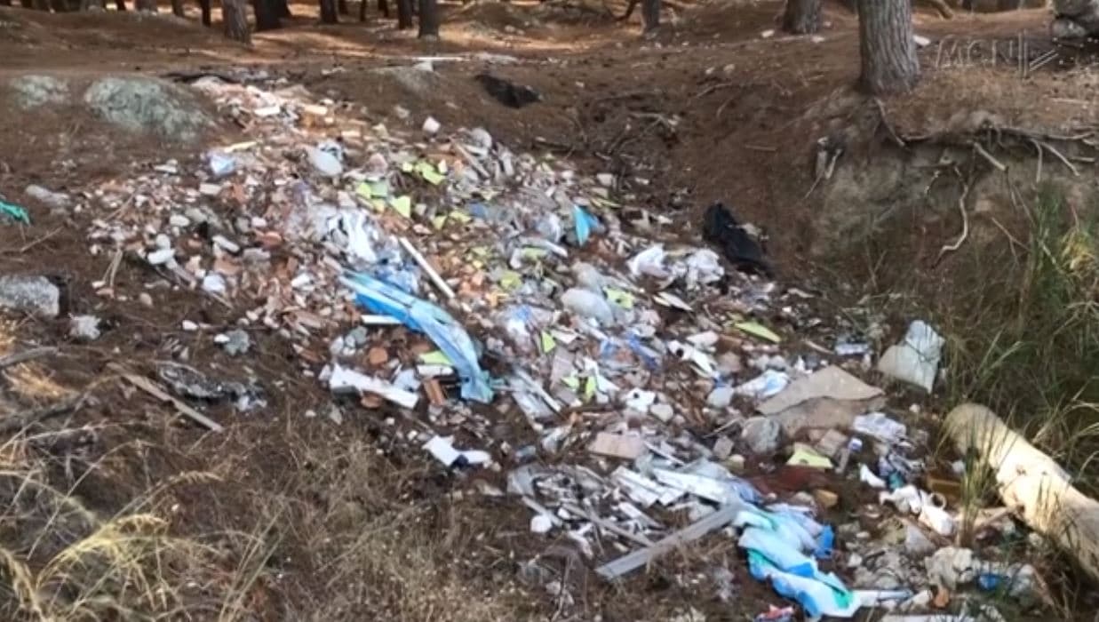 Pylli i Sodës, nën pushtetin e mbetjeve. S’ka kosha, Qytetarët: Natyra po degradon