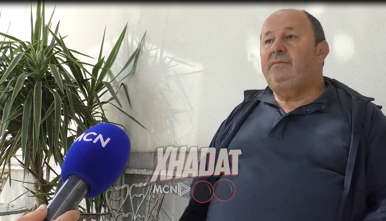 Origjina e Gjuhës Shqipe/ Akademia e Shkencave Shqiptare unison me Akademinë e Shkencave të Serbisë (VIDEO)