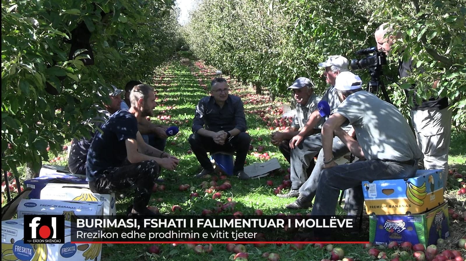 Breshëri dëmton për të tretin vit radhazi mollët, 100 familje të falimentuara në Burimas të Korçës 