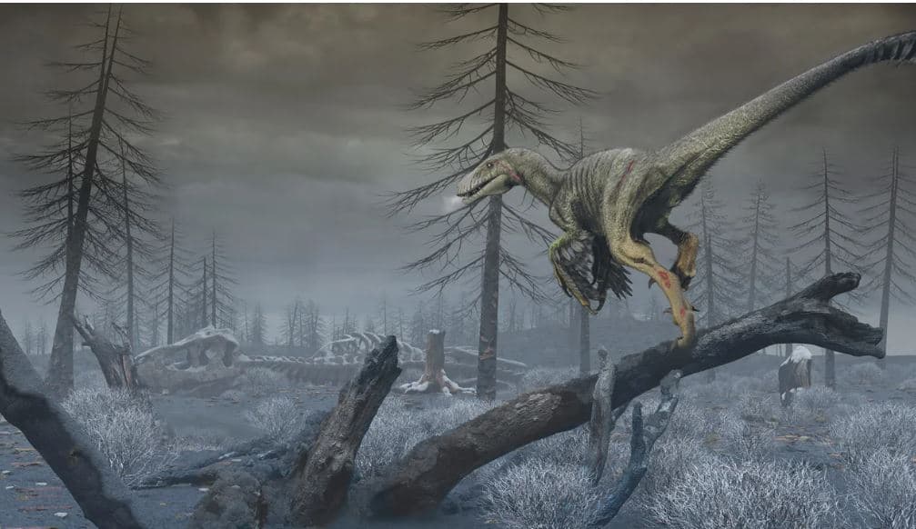 Asteroidi që dënoi dinosaurët ndaloi një proces kyç për jetën në Tokë