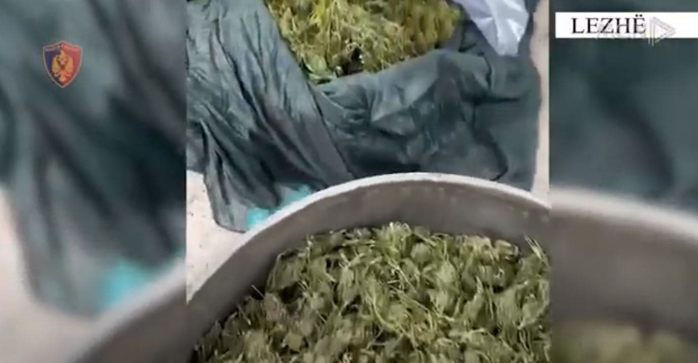 104 operacione, 587 në pranga në një muaj/ Policia e shtetit bën bilancin e krimeve për tetorin (VIDEO)