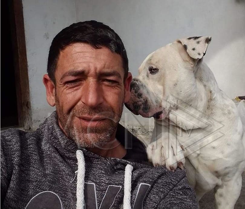 Pitbulli kafshon të moshuarin në Durrës, gjen vdekjen nga plagët e marra (VIDEO)