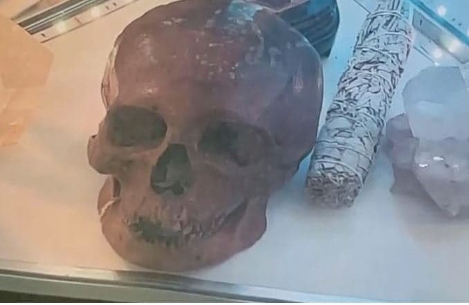 Gjendet një kafkë njeriu në një një dyqan në Florida