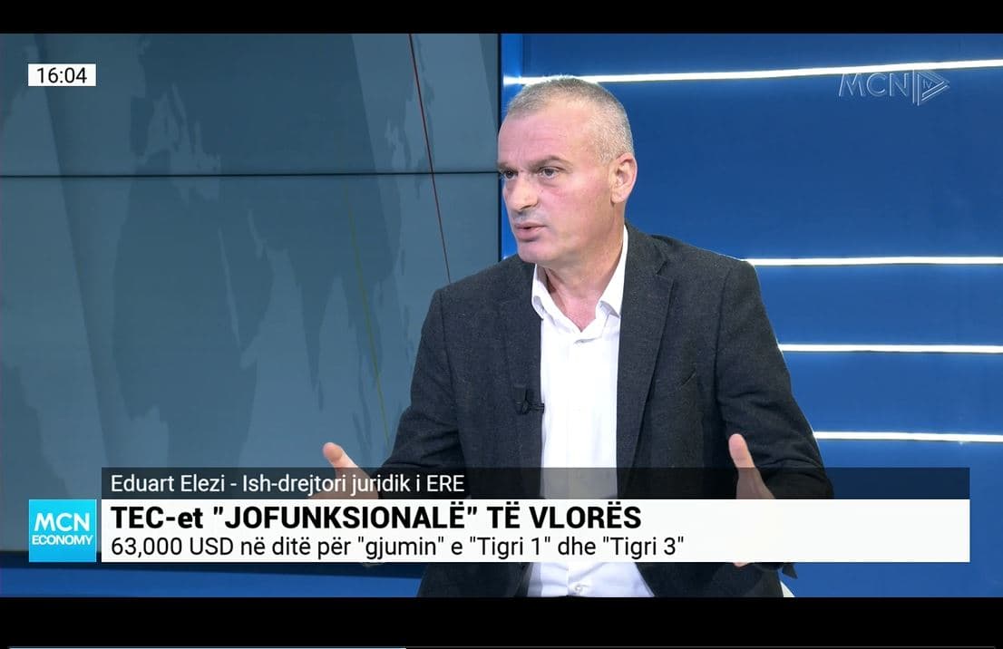 “Tigri 1 dhe 3”/ Elezi: Anijet lundruese janë marrë pa asnjë studim nga qeveria. Ishin një arsye më shumë për të vjedhur  