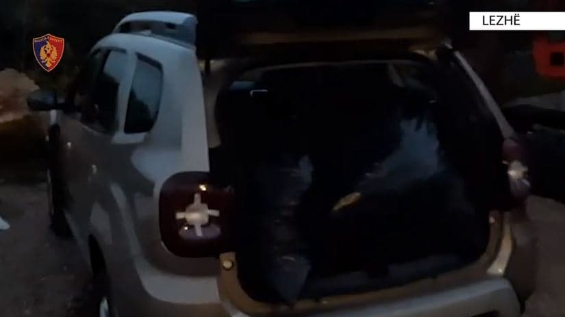 Sekuestrohen 40 kilogramë kanabis në Lezhë, në pranga 3 persona
