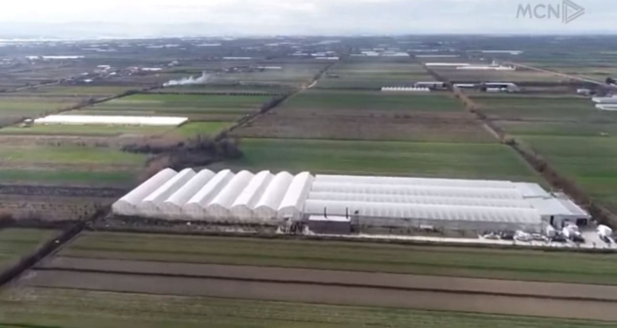 Konfliktet e pronësisë largojnë investitorët/ Ekspertët: Tokat bujqësore shiten me çmime qesharake (VIDEO)