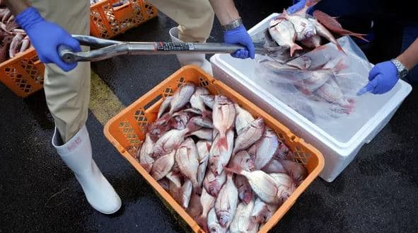Japonia i kërkon Pekinit që të heqë kufizimet e importit për ushqimin japonez