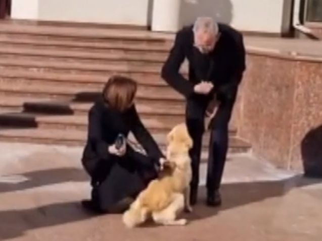 Qeni i Presidentes moldave kafshon Presidentin austriak (VIDEO)