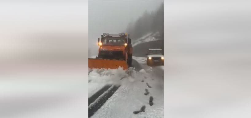 Veriu i Shqipërisë përfshihet nga reshjet e borës, ja si paraqitet situata në disa qarqe (VIDEO)