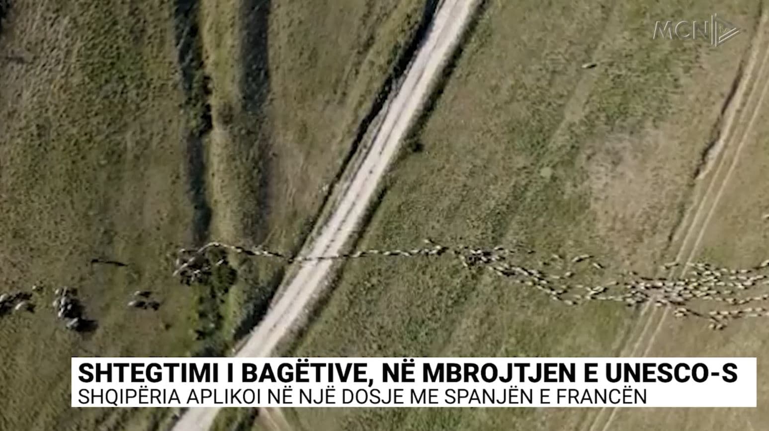Shtegtimi i bagëtive në mbrojtjen e UNESCO-s/ Shqipëria aplikoi në një dosje me Spanjën e Francën (VIDEO)