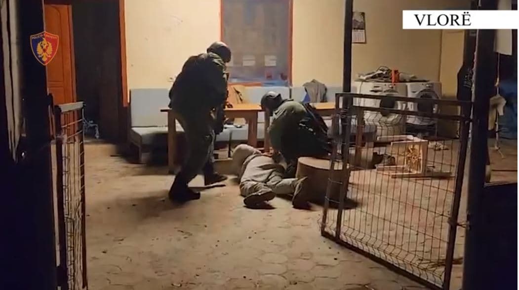Prodhonin dhe trafikonin lëndë narkotike drejt Turqisë, 7 të arrestuar në Vlorë/ Sekuestrohet 500 kg kanabis